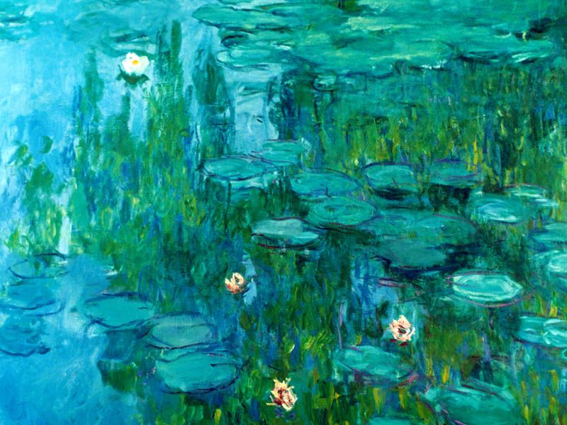 water lilies claude monet.jpg